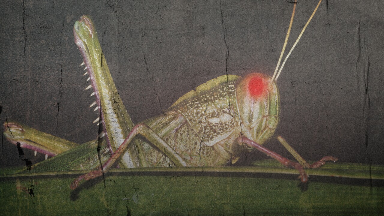 Grasshopper costume fullscreen.jpg
