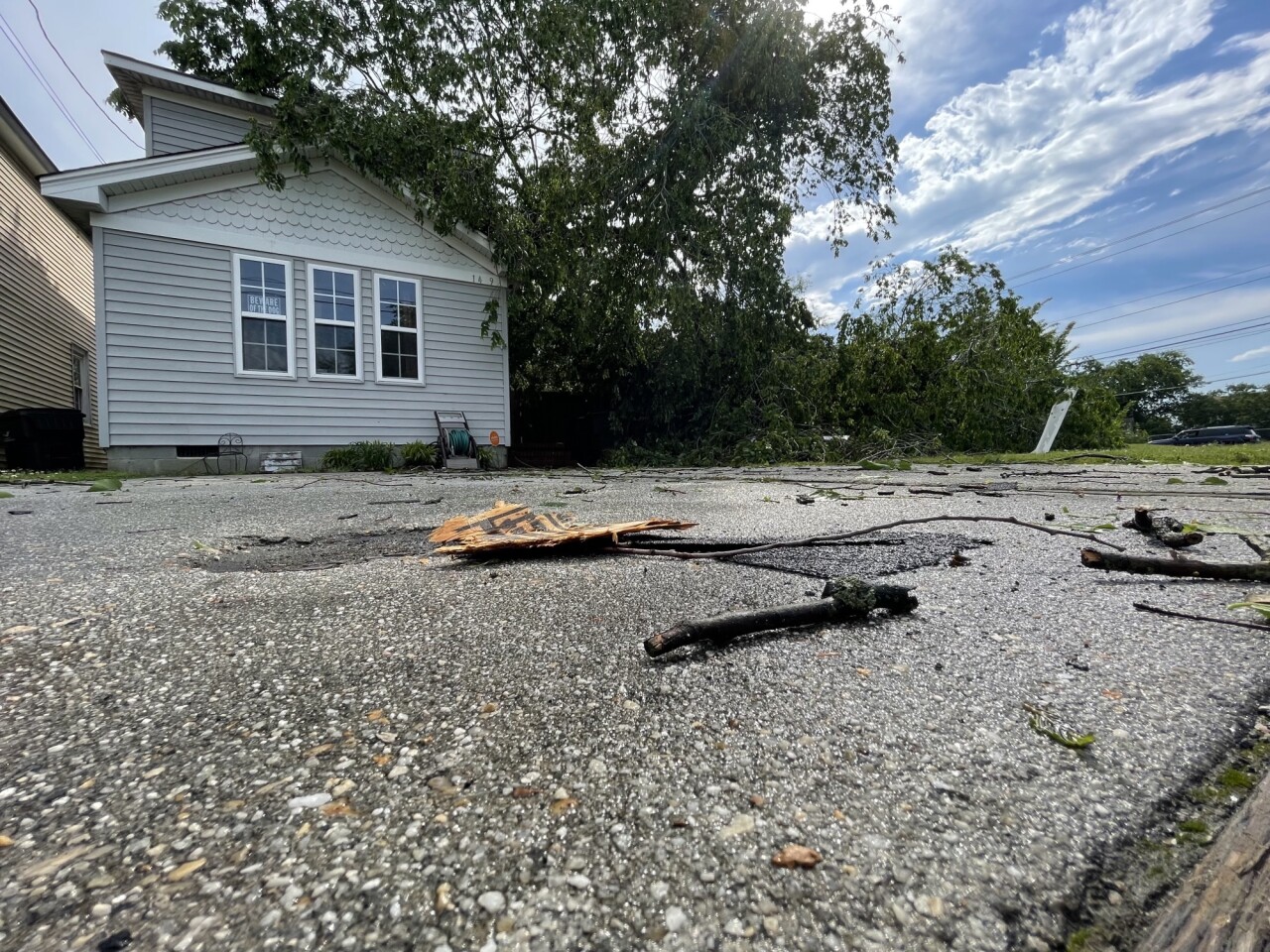 NF 1400 Manson Road tree down (May 16)