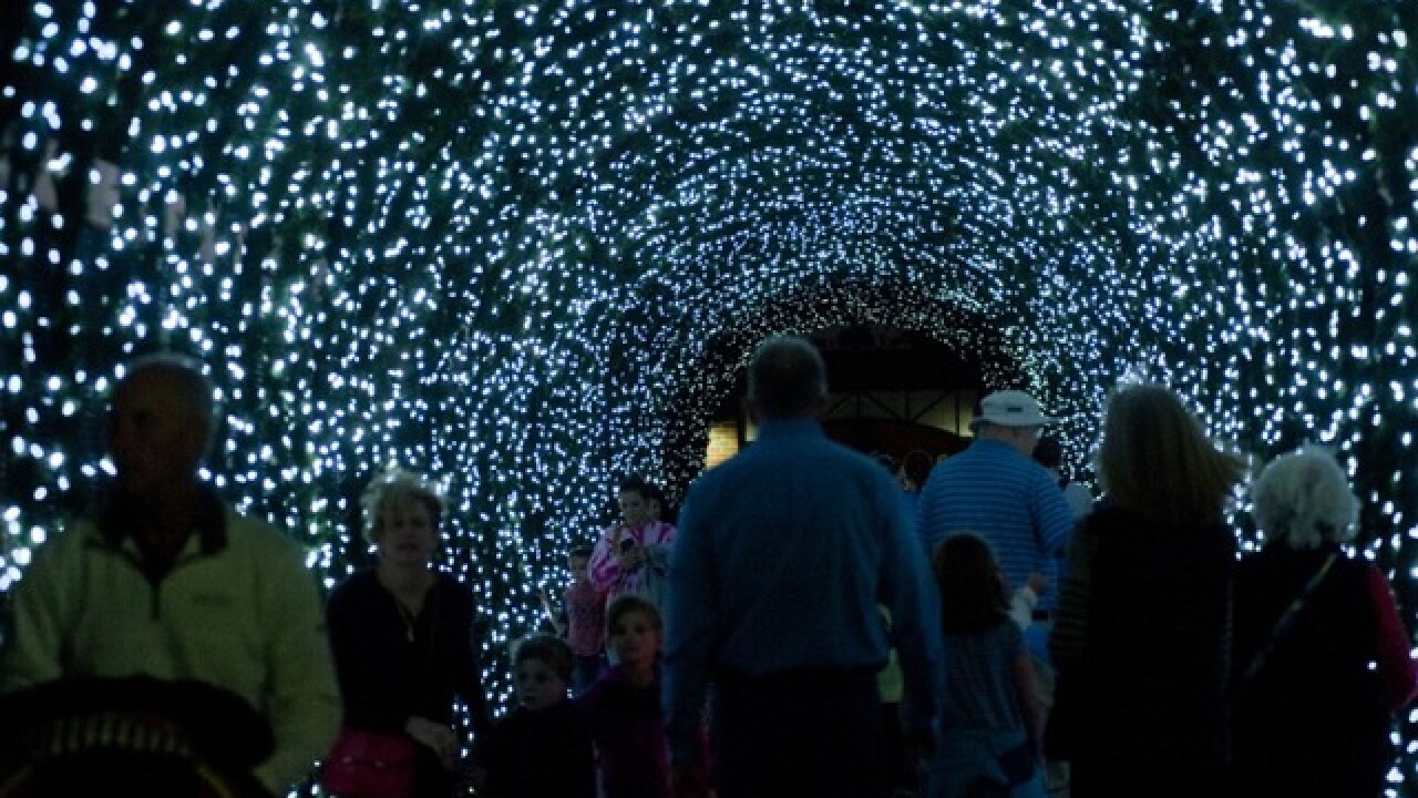 Cincinnati Zoo Kicks Off 35th Annual Festival Of Lights This Weekend