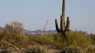 TSMC cactus.jpg