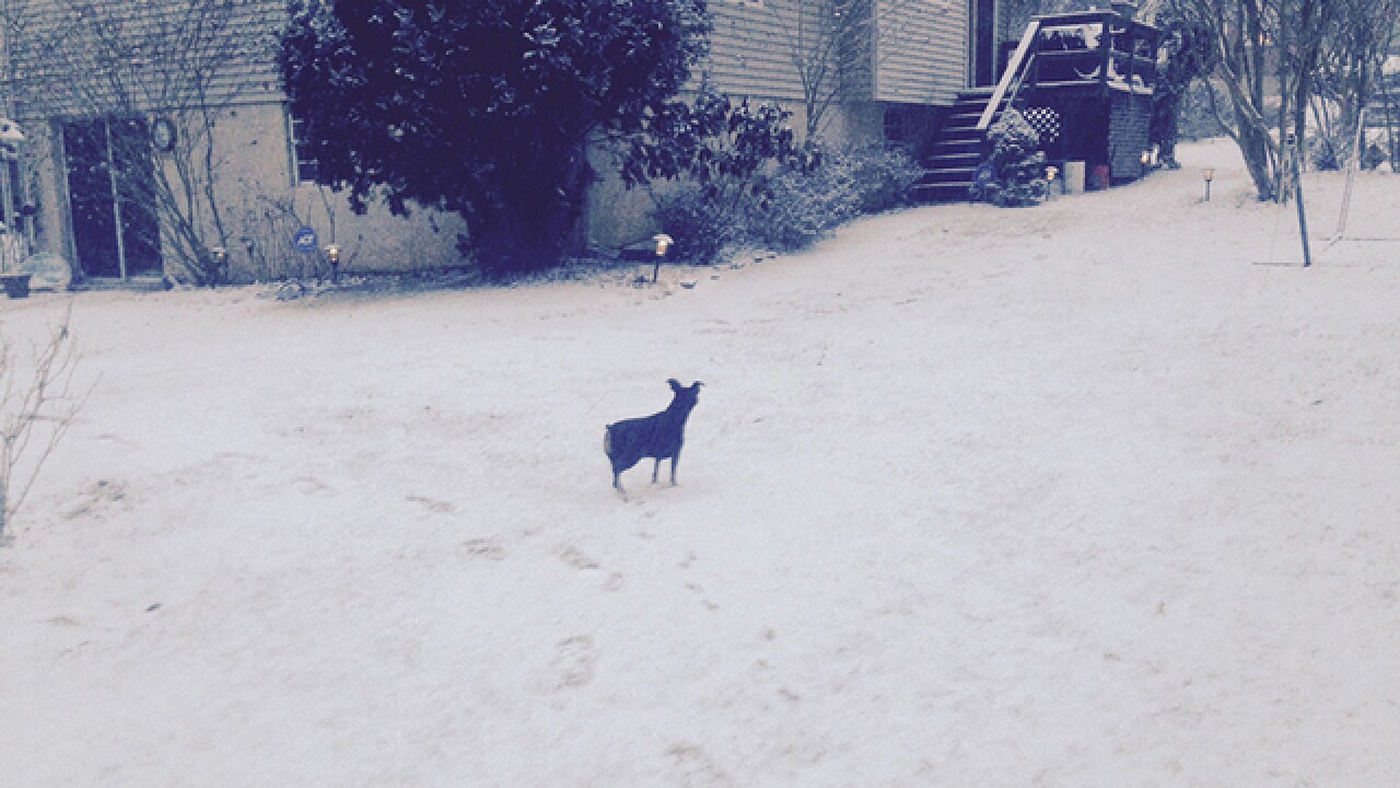 PHOTO: Blizzard 2016 in Baltimore, MD