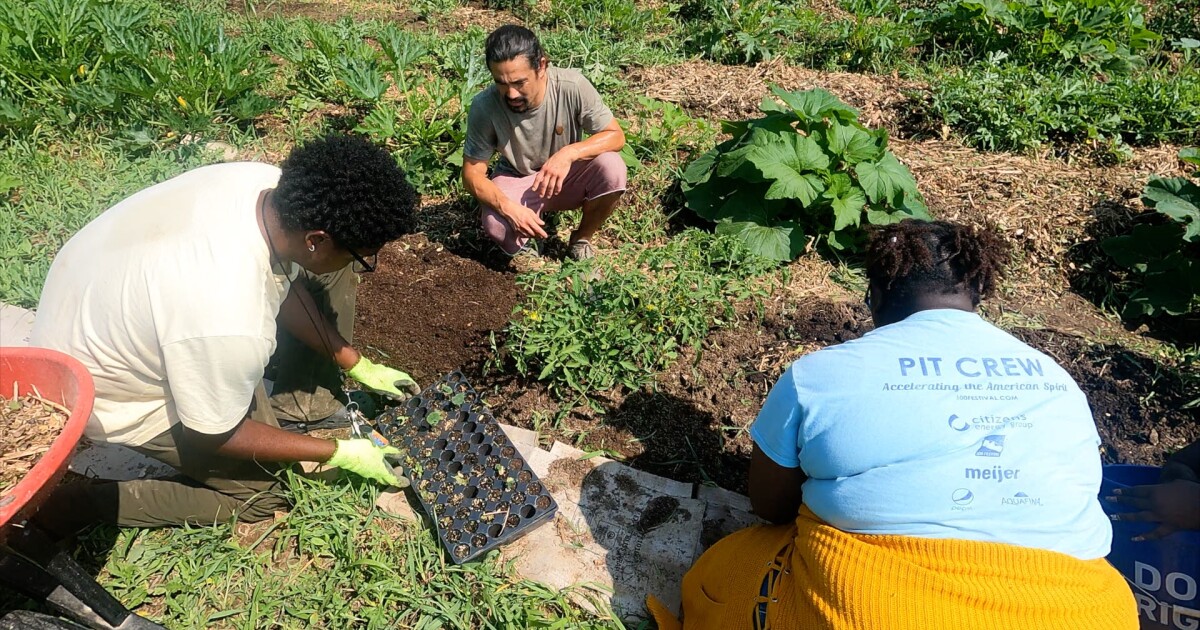 Community Food Access Coalition forms to advise city on how to address food insecurity