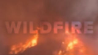 wildfire.png