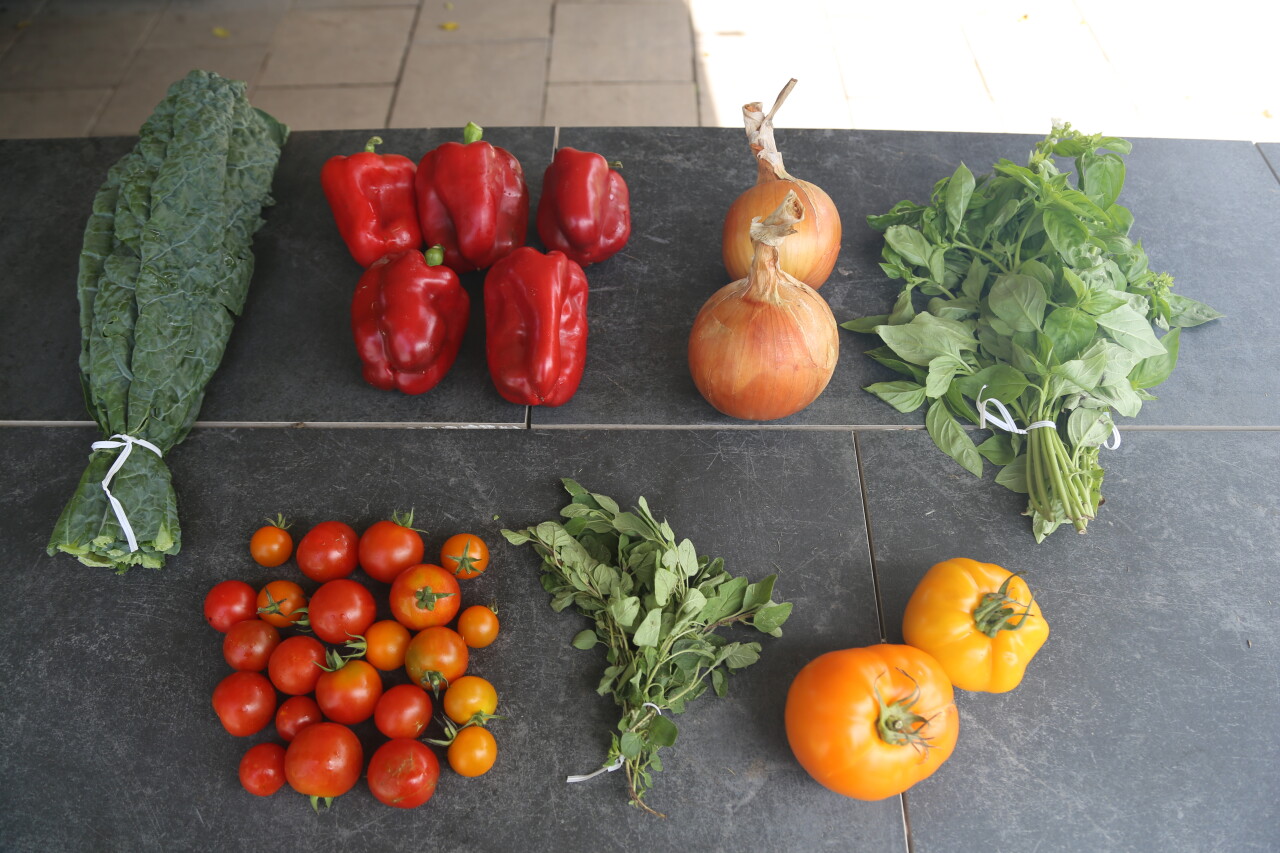 CSA Box