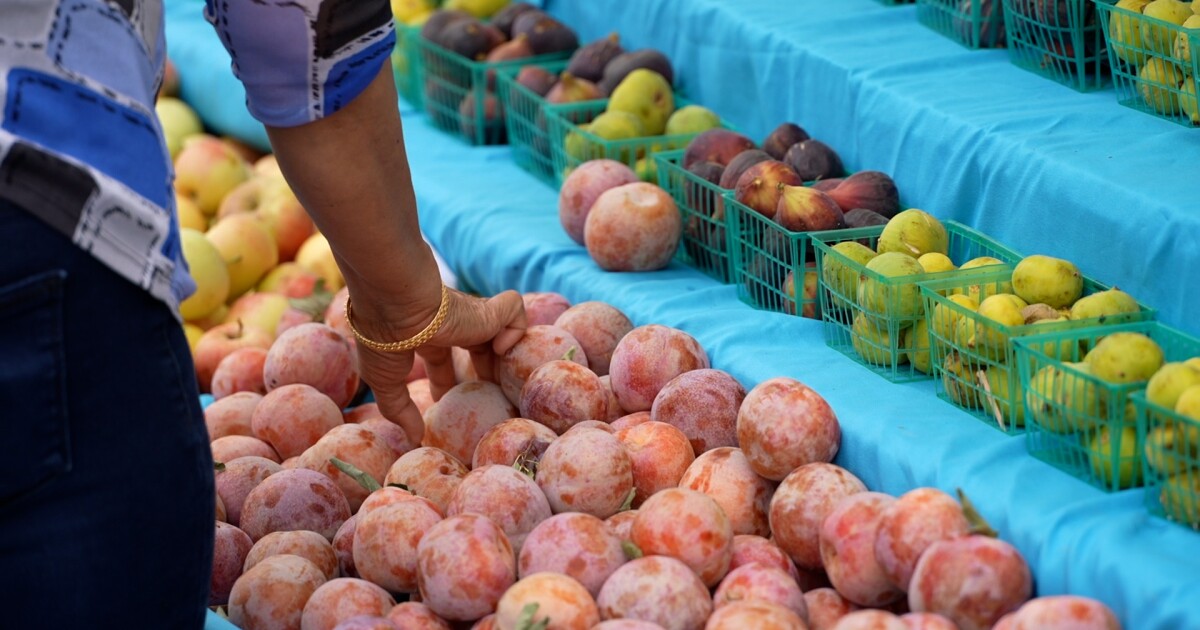 Arroyo Grande market kicks off Nat'l Farmers Market Week in SLO County