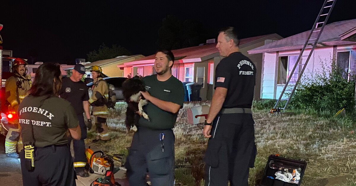Dog rescued, home destroyed in north Phoenix fire