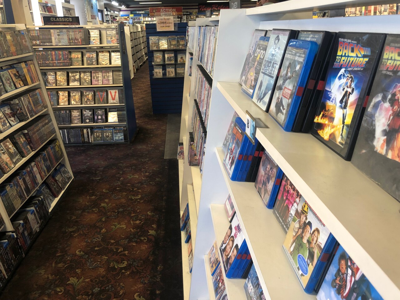 casa video (5).jpeg