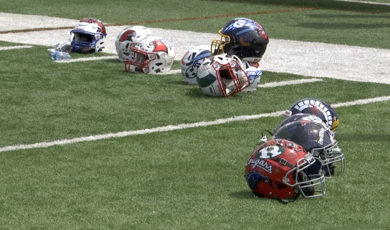 Shrine Football Helmet Stickers