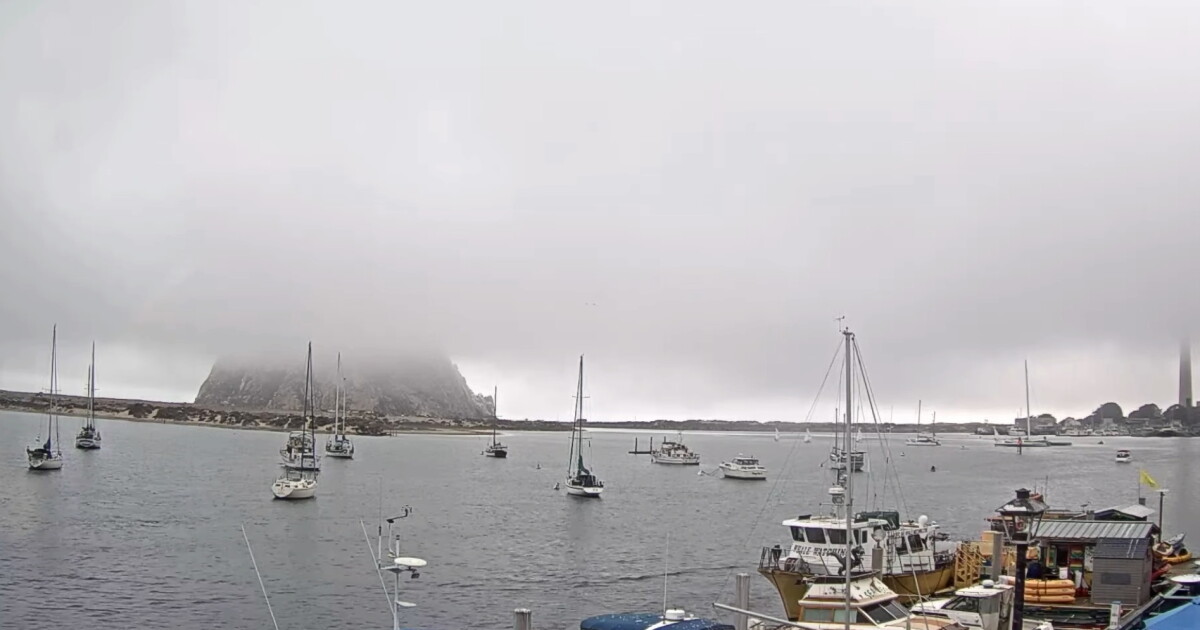 Dense marine layer is sticking around with cooler temps and possibly light rain - Vimarsana News