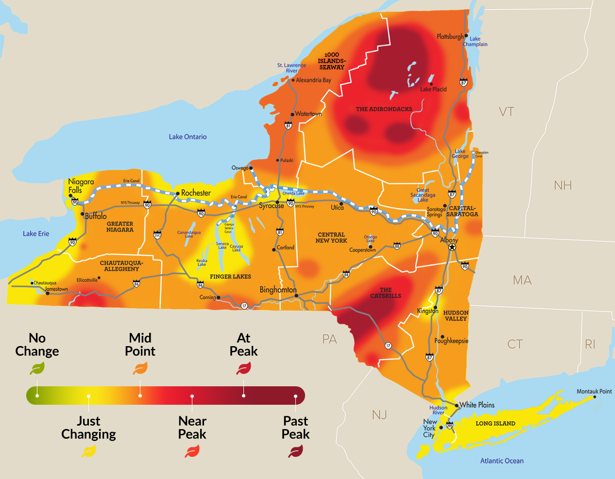 FallReport1.png