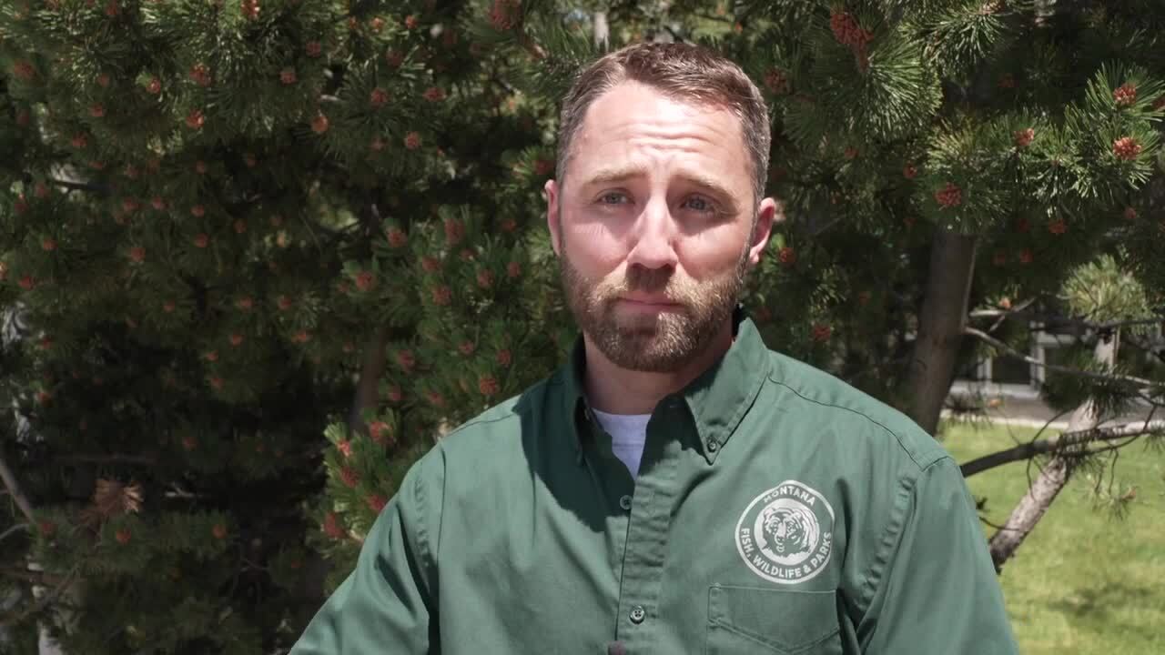 Poster image - 2025-06-18T084458.633.jpg