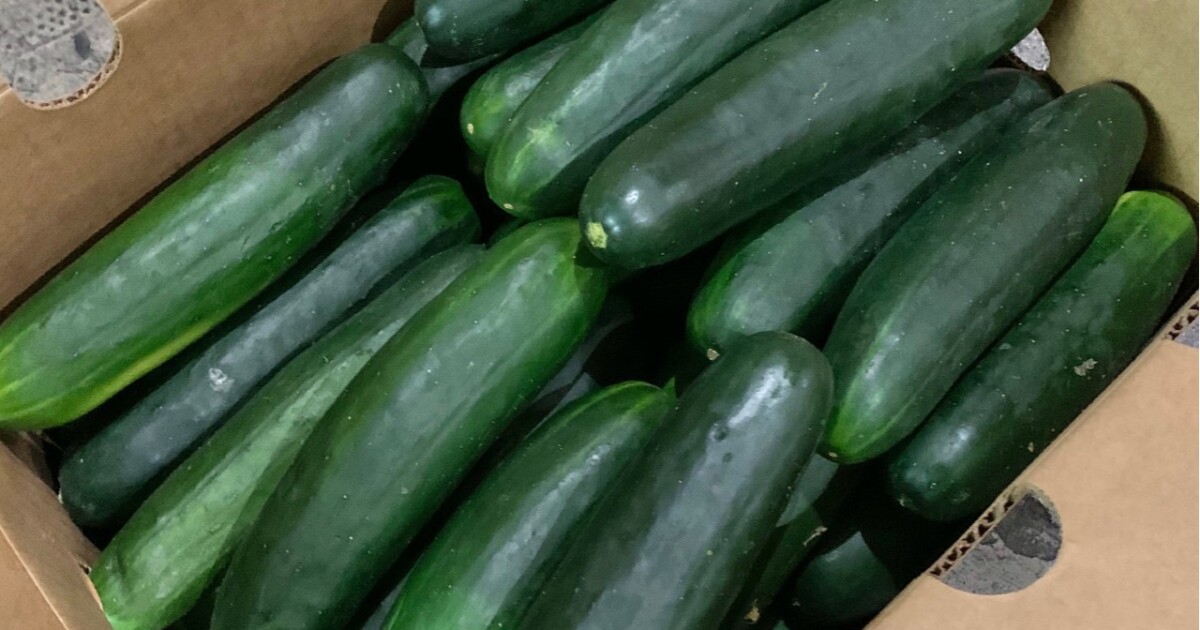 Téléchargement gratuit Images M5bp9qfzaacakm actualisé salutations