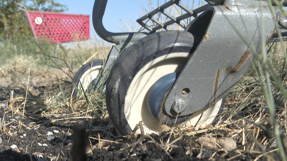 Pueblo Shopping Carts