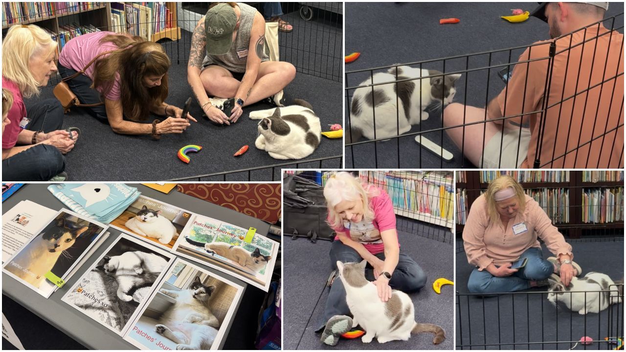 Fat Cat Patches Meet-and-Greet