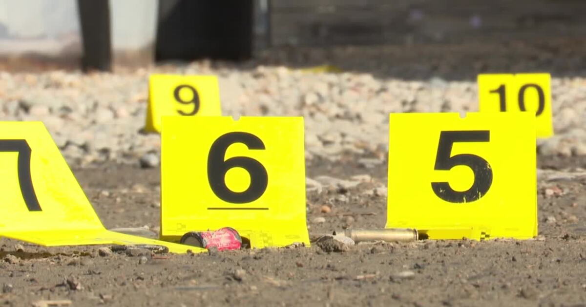 Billings woman admits to attempted murder charge for shooting police officer - Vimarsana News