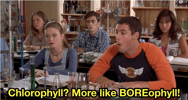 Boreophyll gif