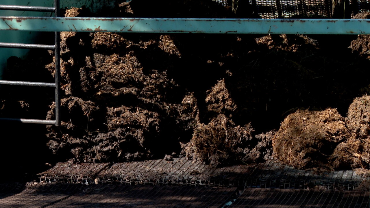bog harvesting 5.jpg