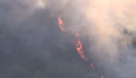 Ariane Fire in Clairemont