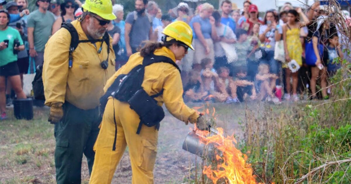 Only once a year: See a live prescribed fire at Palm Beach County’s Natural Areas Festival
