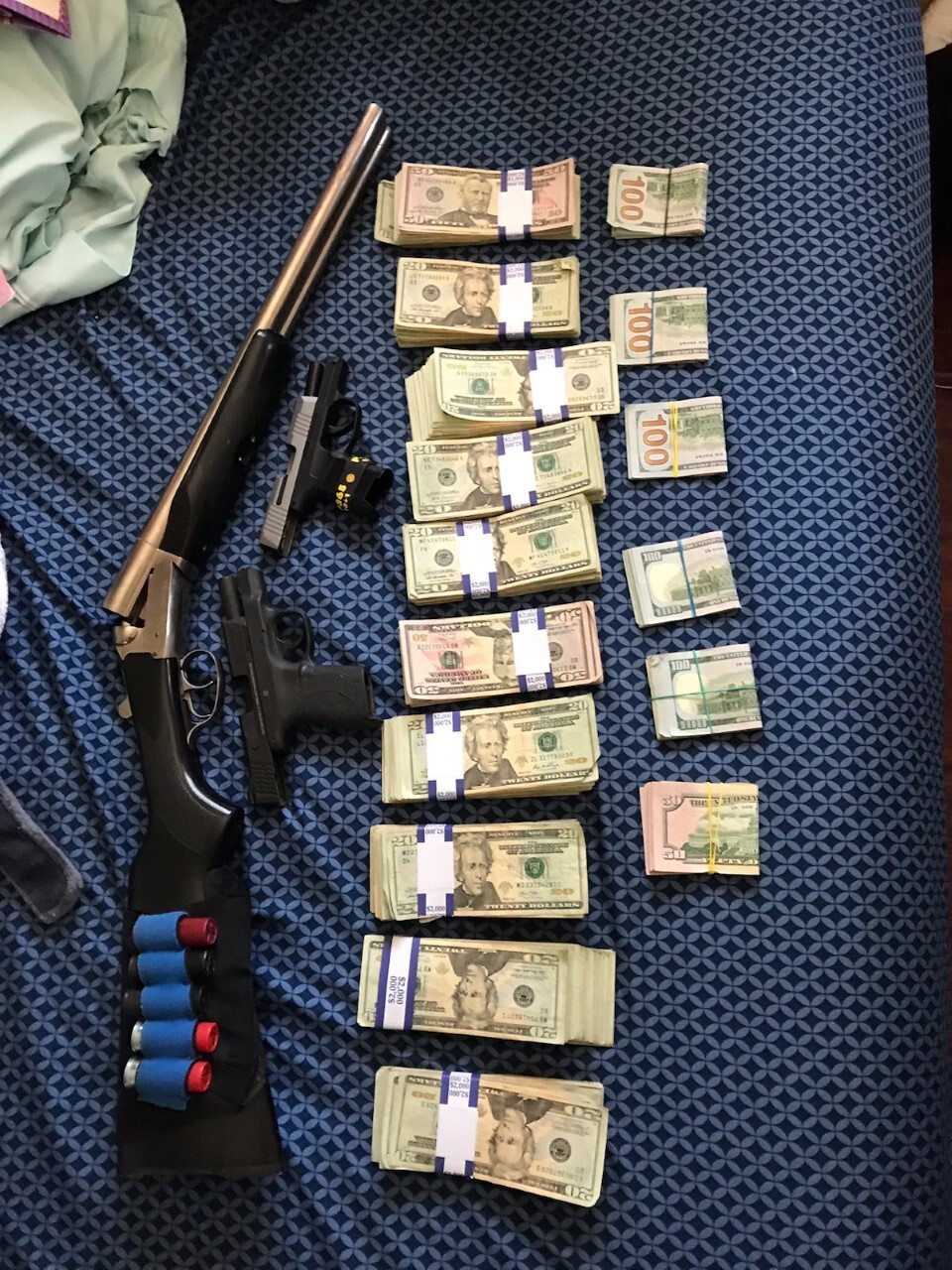 Sheriff's Office Marks Largest Seizure in Illegal Marijuana Cultivation Operation