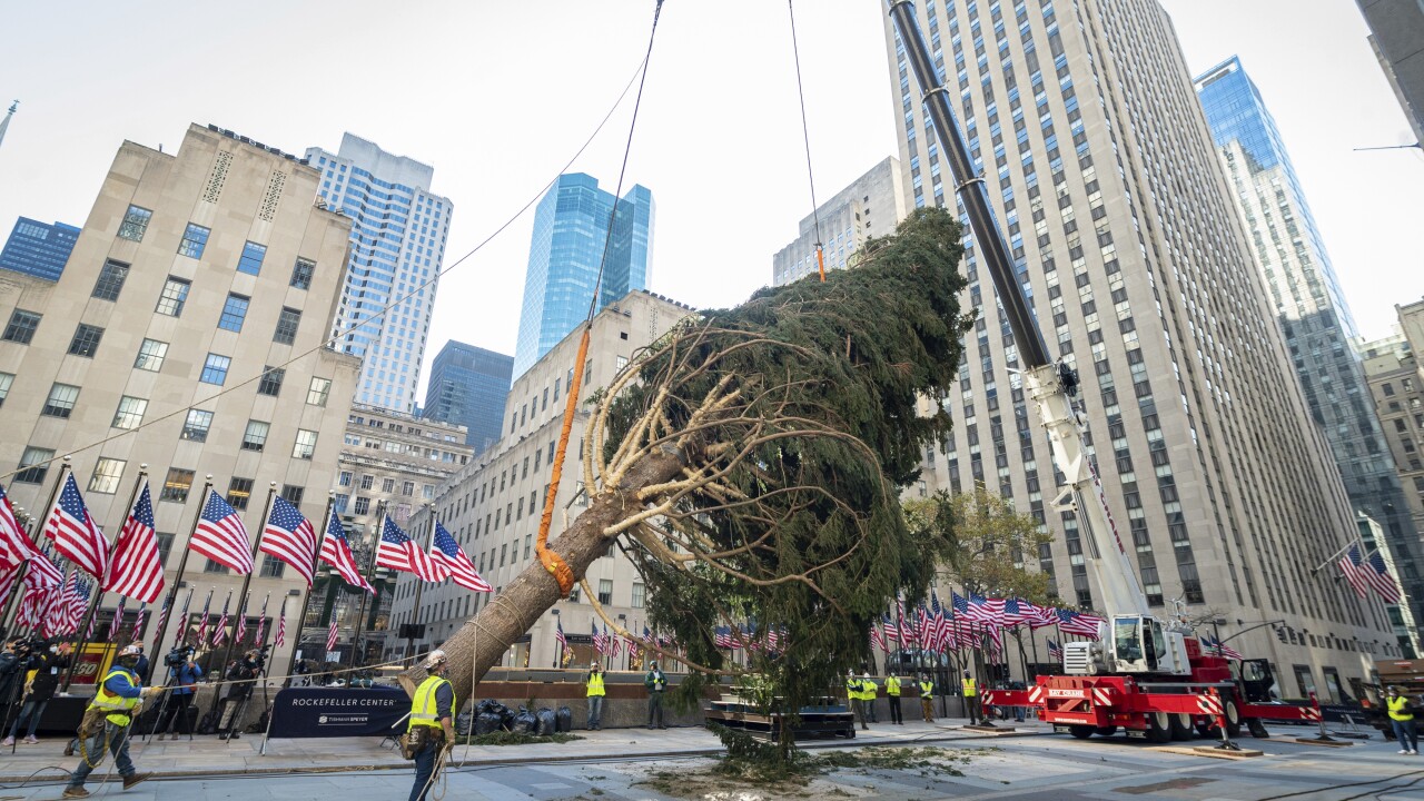 Tiny owl rescued from inside Rockefeller Christmas tree
