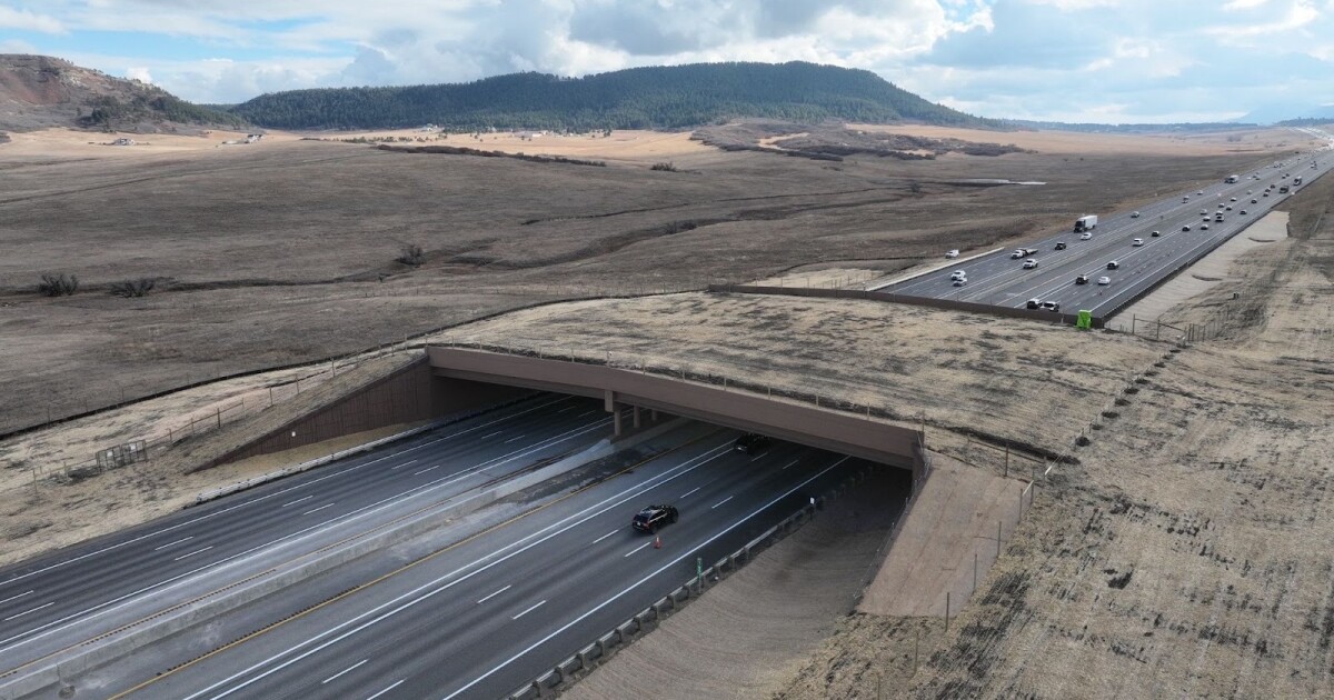 Largest wildlife overpass in North America opens in Douglas County