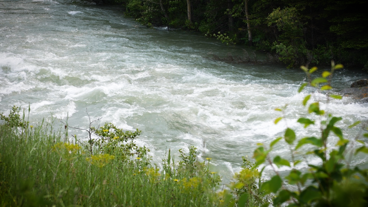 Swiftcurrent Creek Rushing Water