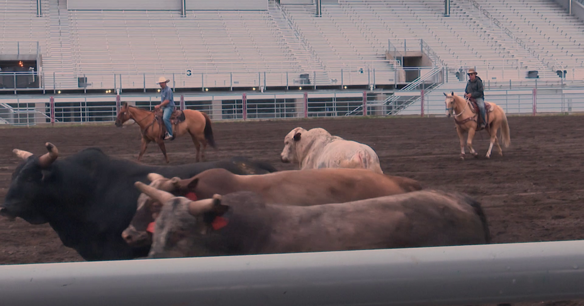 Broncs and bulls from C5 Rodeo power the Last Chance Stampede - Vimarsana News