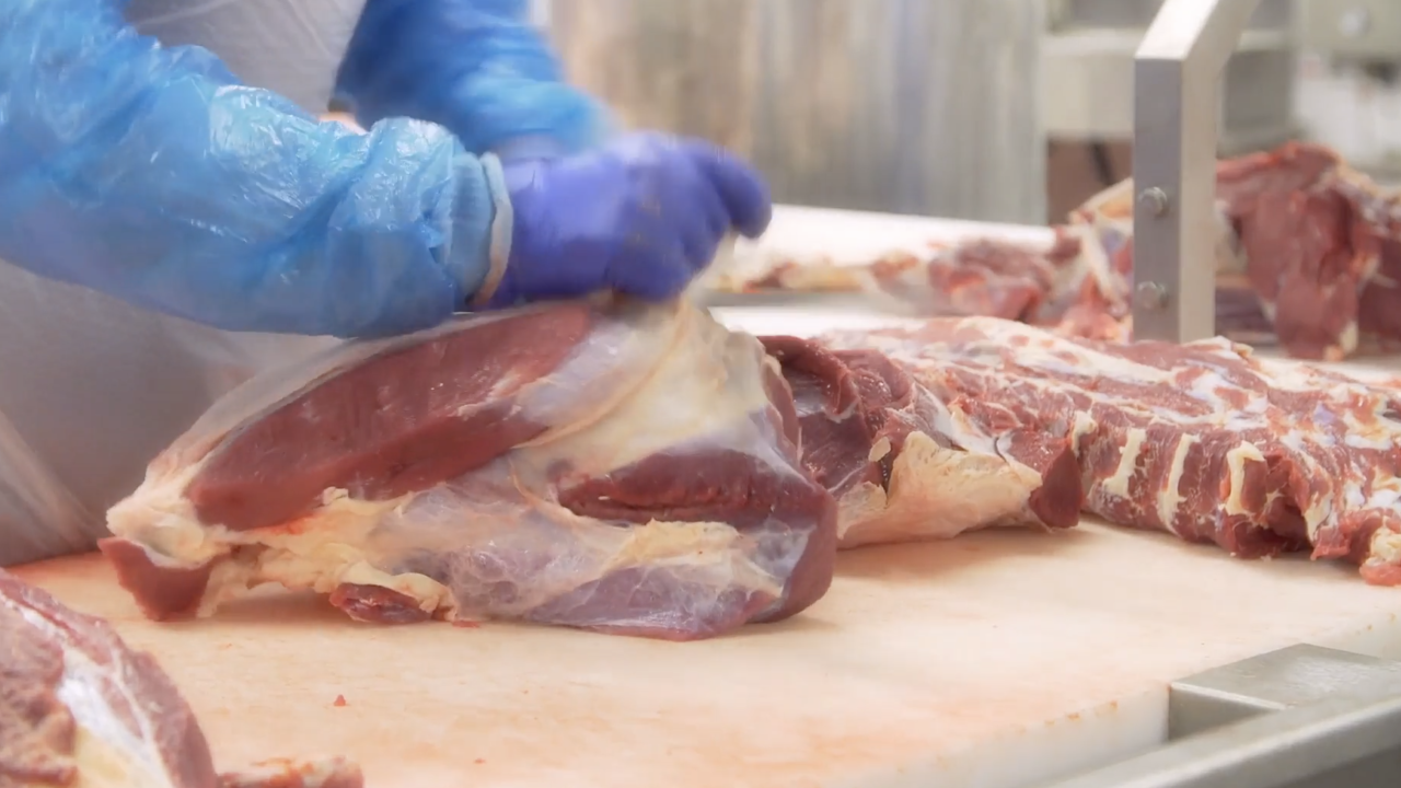Mt Expands Covid 19 Relief Grants Creates New Program For Meat Processors