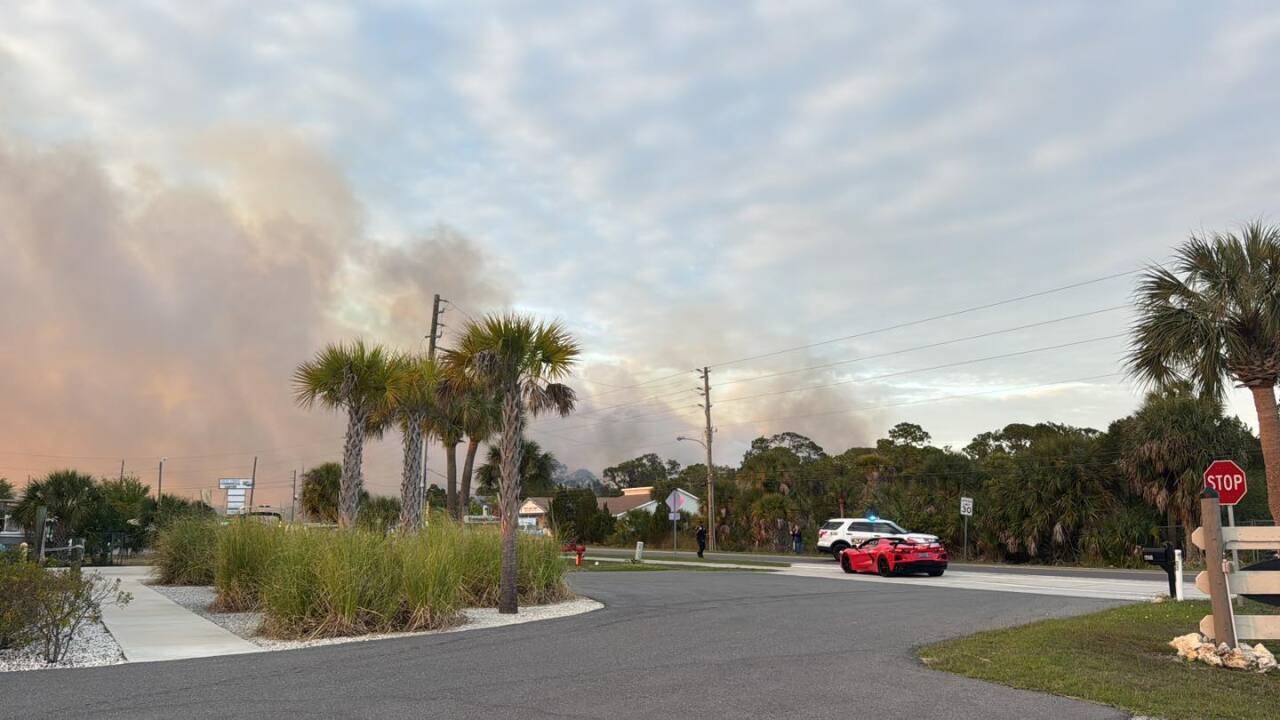 hernando fire