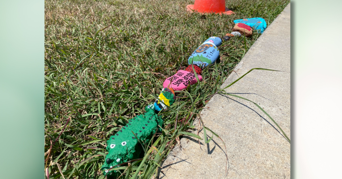 Corpus Christi teen hopes to spread joy in the community with her rock snake - Vimarsana News