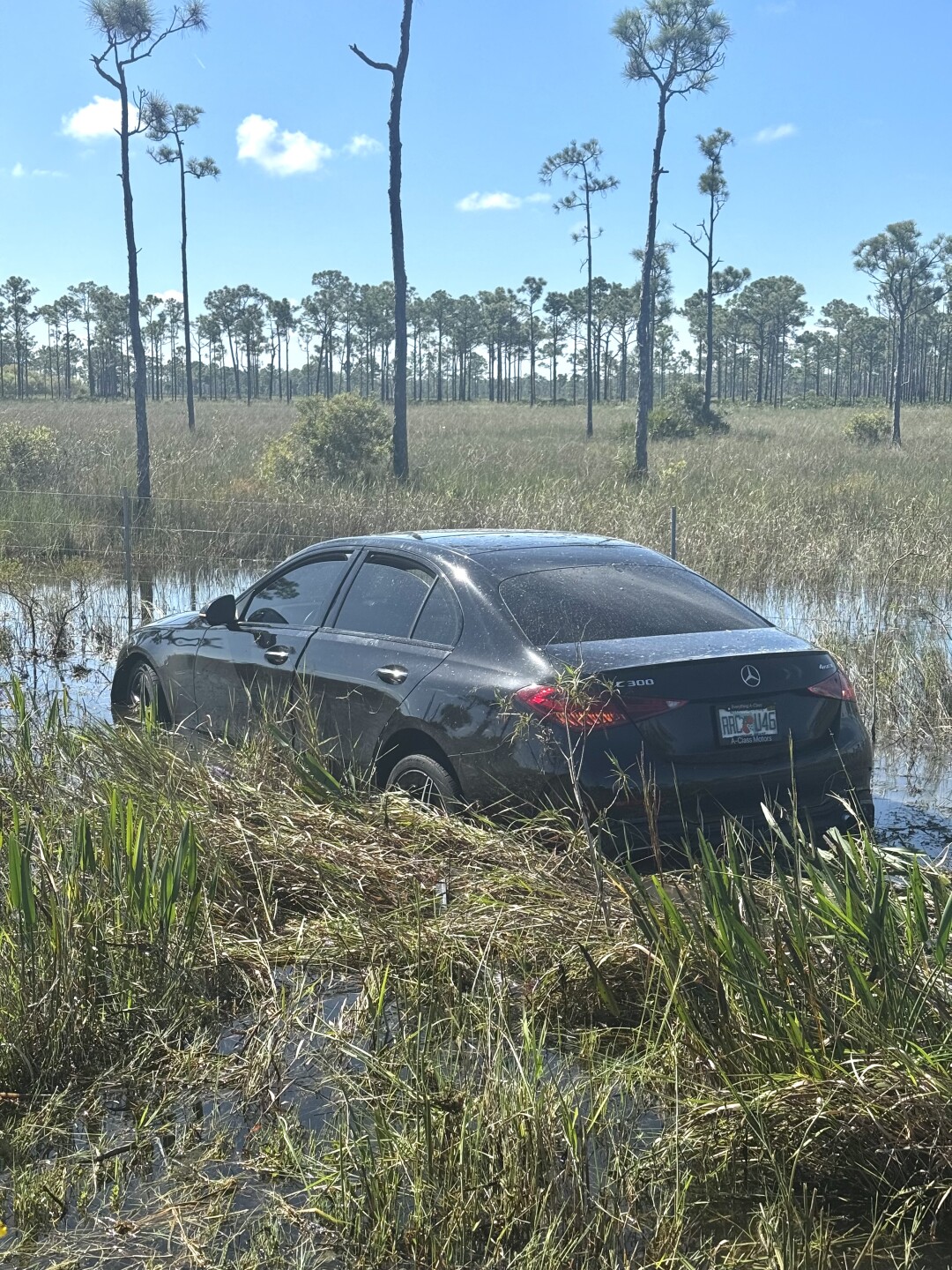 FHP Photo 2.jpeg
