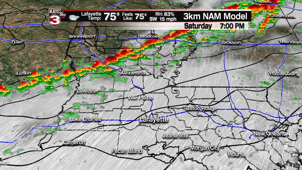 NAM Futurecast Rob.png