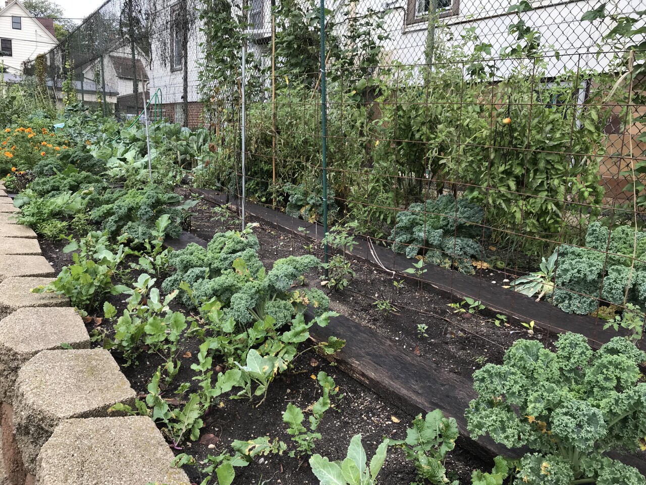 garden7