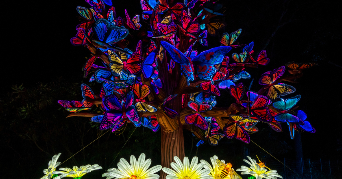 China Lights at Boerner Botanical Gardens New details released