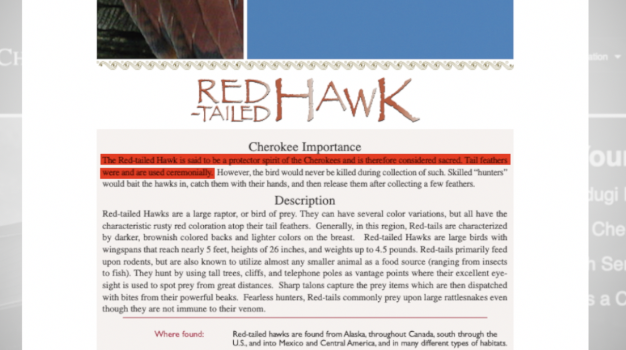 Screenshot 2024-03-26 at 6.04.59 PM.png