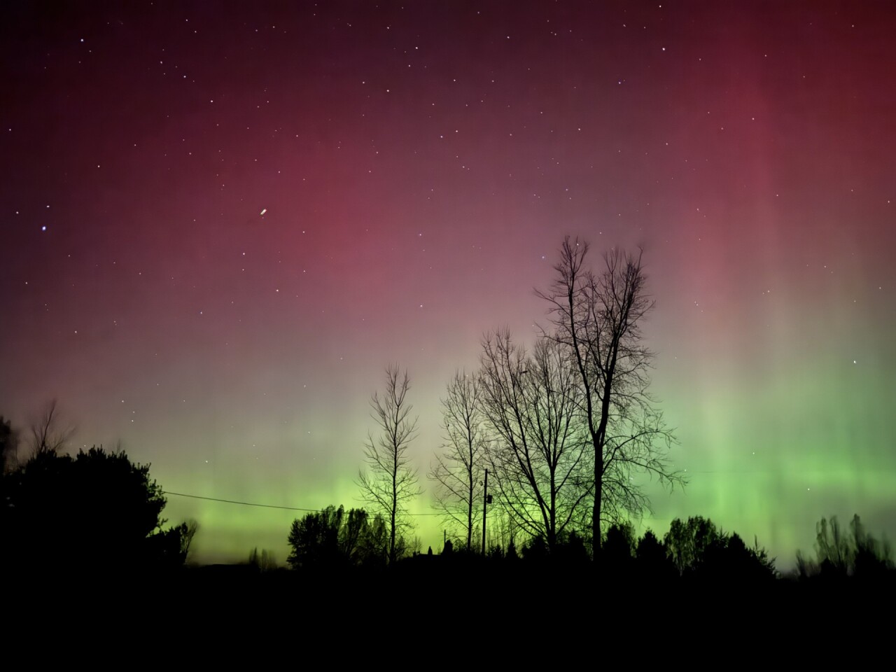 heather hoeksra .jpg