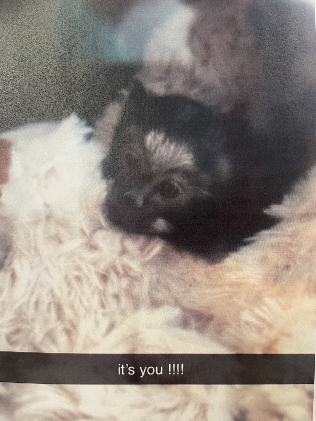 Photo allegedly sent to Grace Clay from student at Babcock