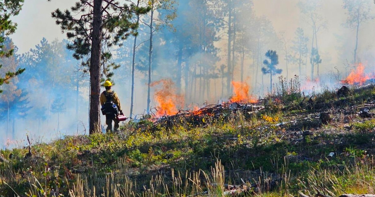 Prescribed burn taking place Monday on forest service land with visible smoke - Vimarsana News