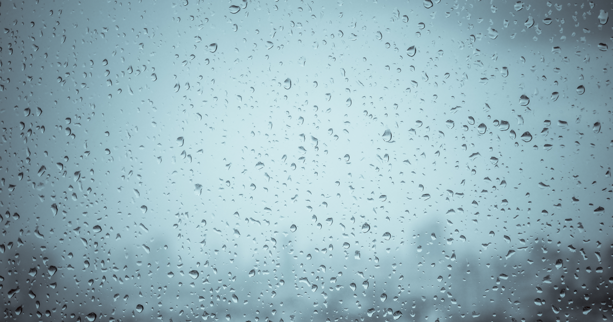 First Warning Forecast: 70s again today, Showers this weekend - Vimarsana News