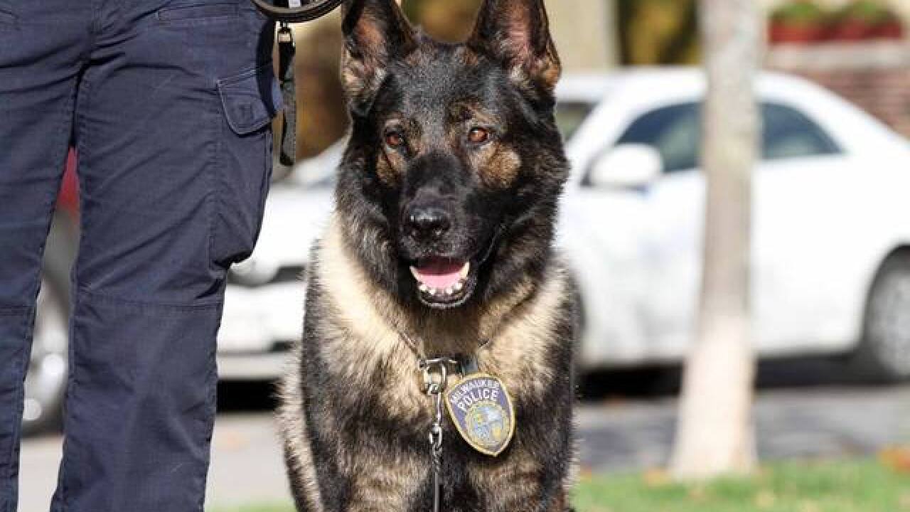 MPD Honor Guard salutes fallen K9 officer