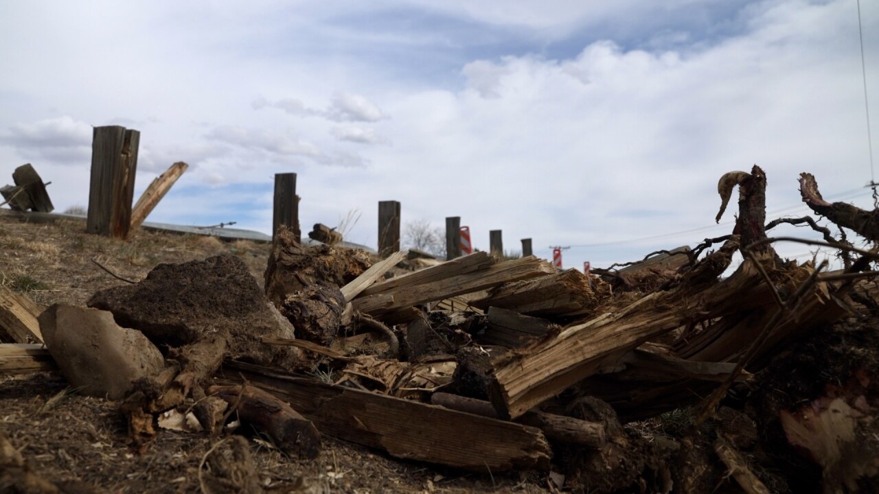 car crash Boulder.jpg