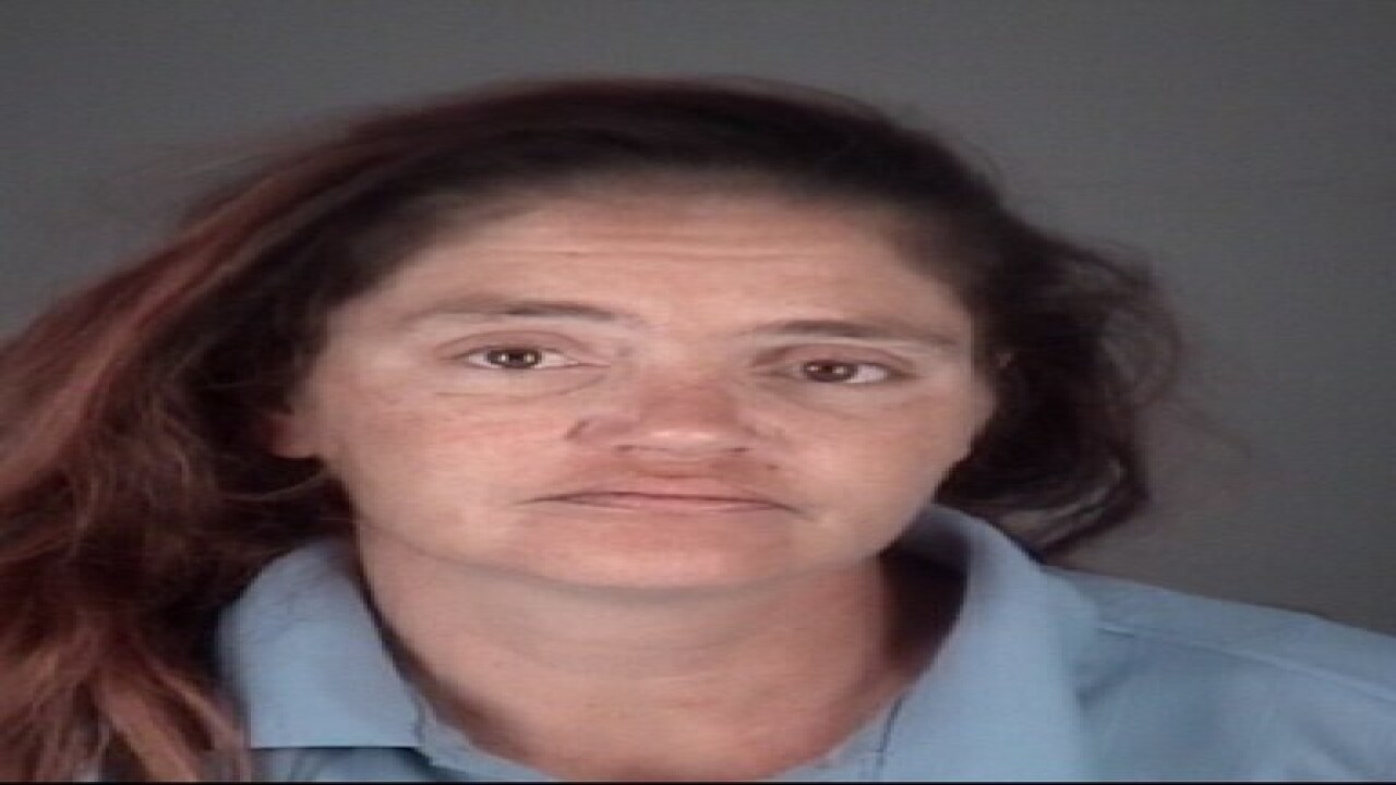 PHOTOS: Check out 100+ mug shots from Tampa Bay