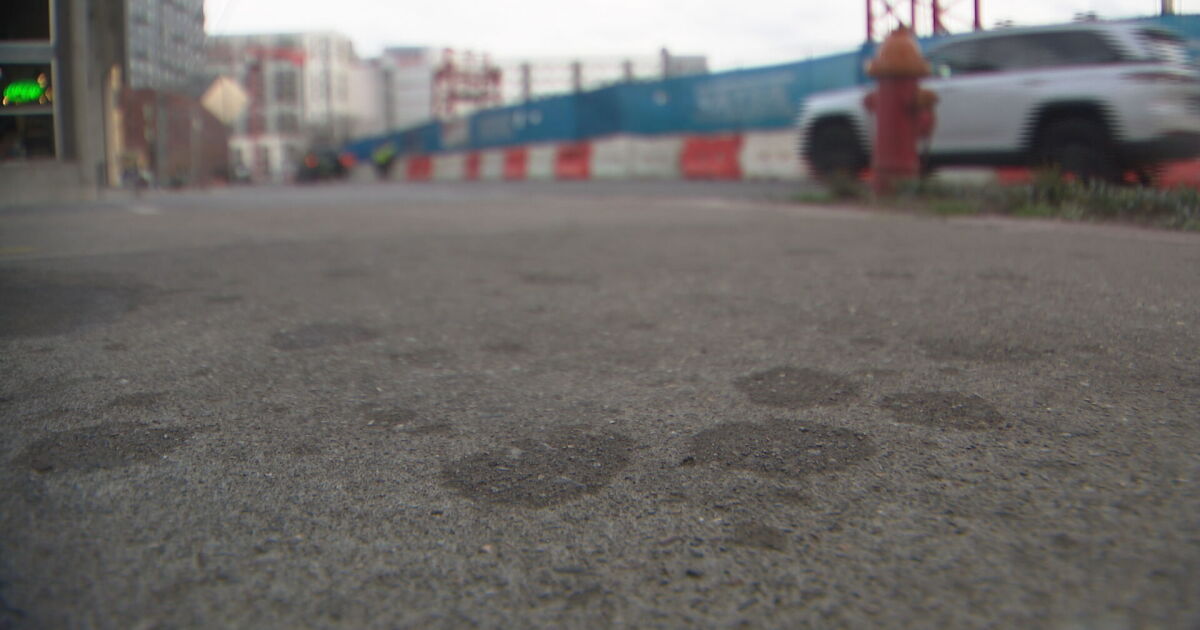 Mysterious oily liquid rains down on cars, businesses near construction site - Vimarsana News
