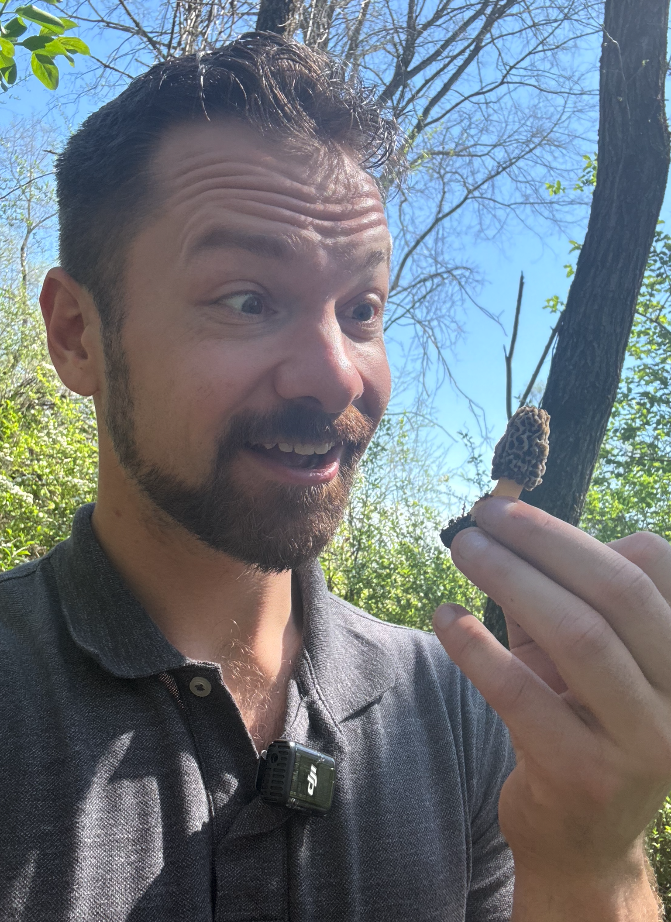 Morel mushroom hunting