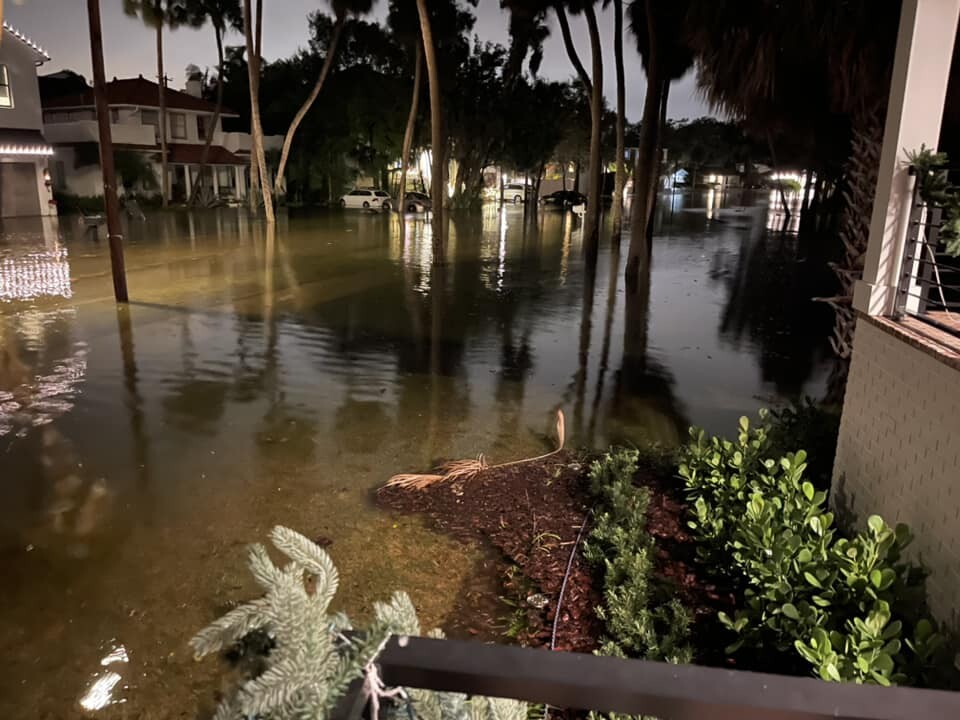 Sunset Park in South Tampa on 12/17/23