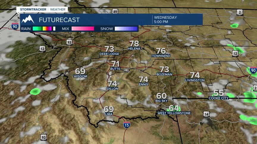 Mild Sunshine For Wednesday.jpg