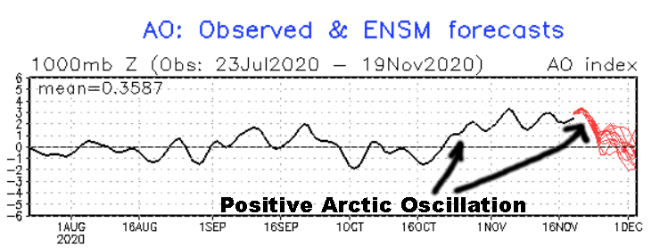 Ao Positive.png