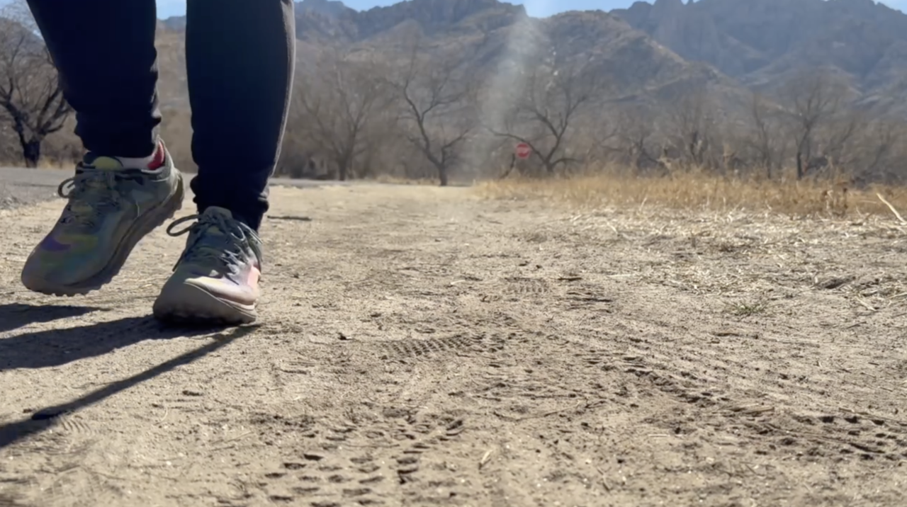 Hiker at Catalina State Park