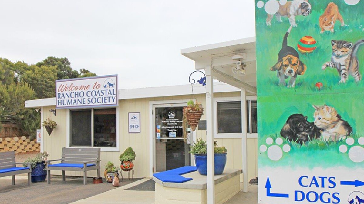 Pet adoption campaign underway to clear animal shelters